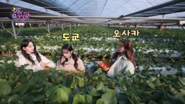 오사카 사람을 그냥 못지나친 제작진