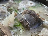 순대국밥의 작은 기적 | 음식 갤러리 순대국밥의 작은 기적 | 음식 갤러리 | 루리웹