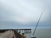 시원하게 주변 한바퀴