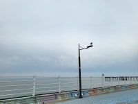 시원하게 주변 한바퀴