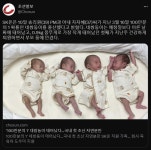 네쌍둥이 자연분만 | 유머 게시판 네쌍둥이 자연분만 | 유머 게시판 | 루리웹