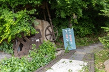 용인 산골짜기에 위치한 자작나무 이야기 레스토랑 | 여행 행사 풍경 사진 갤러리 | RULIWEB 용인 산골짜기에 위치한 자작나무 이야기 레스토랑... 