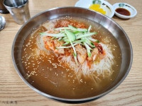 점심은 국수, 저녁은 텐동. | 음식 갤러리 점심은 국수, 저녁은 텐동. | 음식 갤러리 | 루리웹