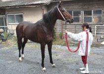 말딸 내 최애의 아이의 아이는 내 손으로 만들겠어