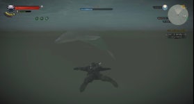 고래와 함께 누비는 스켈리게 바다 | 더 위쳐 2: 어쌔신 오브 킹즈 고래와 함께 누비는 스켈리게 바다 | 더 위쳐 2: 어쌔신 오브 킹즈 | 루리웹