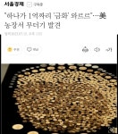 하나가 1억짜리 금화 와르르美 농장서 무더기 발견