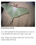 군대 팅커벨 3대장jpg