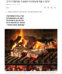 비건들이 지구를 파괴한다는 증거 | 유머 게시판 비건들이 지구를 파괴한다는 증거 | 유머 게시판 | 루리웹