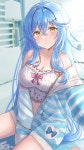 버튜버홀로라이브 잡지식유키하나 라미