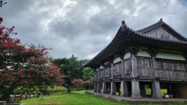 서귀포 법화사 | 여행 행사 풍경 사진 갤러리 | RULIWEB 서귀포 법화사 | 여행 행사 풍경 사진 갤러리 | 루리웹