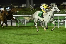 경마 진짜 볼만해진 이번 코리아컵과 사랑에 빠진 기수