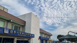 경북 경상북도 포항에서 덕질 포항에서 덕질하는 방법 feat경주