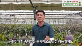 농민들이 공판장을 혐오할수 밖에 없는 이유 | 유머 게시판 농민들이 공판장을 혐오할수 밖에 없는 이유 | 유머 게시판 | 루리웹