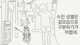 알고보니 여자애였던 만화