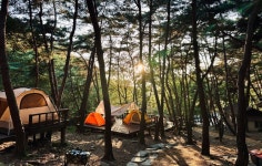 경북 칠곡 송정자연휴양림 캠핑