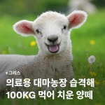 어느 농장을 습격한 폭도의 해맑은 모습 | 유머 게시판 어느 농장을 습격한 폭도의 해맑은 모습 | 유머 게시판 | 루리웹