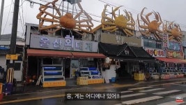 이곳이 한국 게의 수도입니까