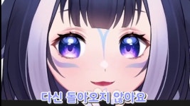버튜버샤이릴리의 마지막 방송