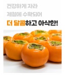네이버 진영 단감 특가 9900원 무료배송