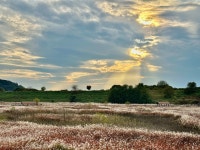 대구 달성군 대명유수지 | 국내여행 이야기 게시판 | RULIWEB 대구 달성군 대명유수지 | 국내여행 이야기 게시판 | 루리웹