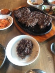 시골 식당에서 강아지를 만남 귀여워