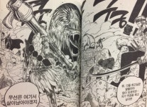 원피스 하늘섬 편으로 보는 최종장 대립 구도 예측