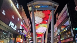 대전 대전 덕질 완벽가이드 2023년 대전 덕질 여행