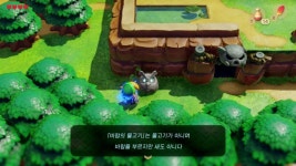 젤다 꿈꾸는 섬