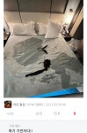 저에겐 알리바이가 있습니다.jpg | 유머 게시판 저에겐 알리바이가 있습니다.jpg | 유머 게시판 | 루리웹
