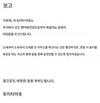 [성우] 토미타 마호, 소속사 독립 | 취미 정보 [성우] 토미타 마호, 소속사 독립 | 취미 정보 | 루리...