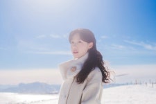 스압주의 대관령 삼양목장 스냅