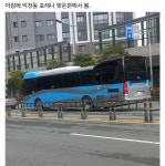 펌부산에선 볼수 없는 버스