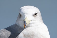 영종도 둘러봤음