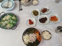 진해에서 차크닉