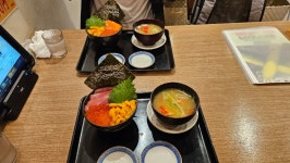 삿포로 카이센동 오이소 돈베이