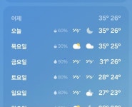 비 온다메!!!!!!! | 유머 게시판 비 온다메!!!!!!! | 유머 게시판 | 루리웹