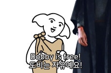 도비는 이제 자유에요