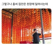 성씨 경쟁 甲.jpg | 유머 게시판 성씨 경쟁 甲.jpg | 유머 게시판 | 루리웹