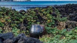 판포부터 협재까지