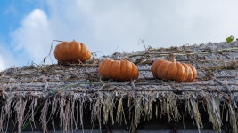 판포부터 협재까지