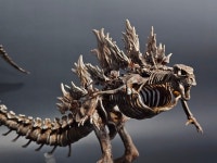 고지라 프라모델 뼈