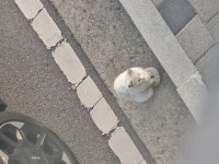 주말에 나와서 일하니까 동네 어르신이 째려보심