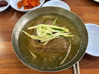 지난달에 먹었던 옥천면옥