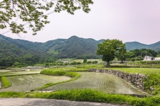 순천 후곡리 마을