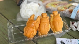 밖에서 밥 먹습니다 분당 야탑 파리바게트