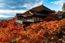 일본 청수사 도착함