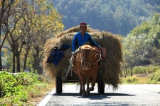 갤럭시 25울 삿는데 45년되면 또 달구지폰 되려나