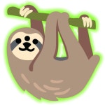 2025년 10월 20일 오늘은 나무늘보의 날입니다