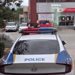 폴리스 펔유 아이엠캣