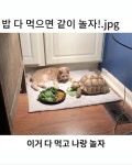 밥 다 먹으면 나랑 놀자